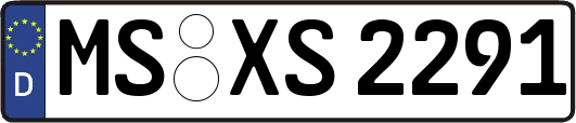 MS-XS2291