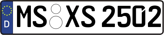 MS-XS2502