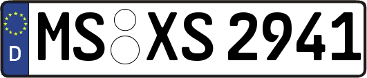MS-XS2941