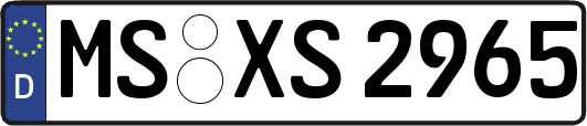 MS-XS2965
