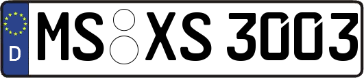 MS-XS3003