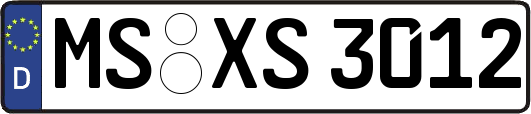 MS-XS3012
