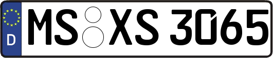 MS-XS3065