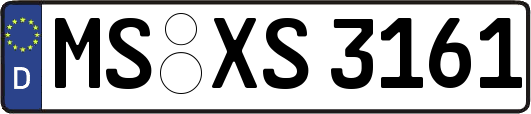 MS-XS3161