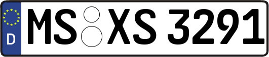 MS-XS3291