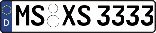 MS-XS3333