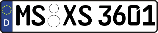 MS-XS3601