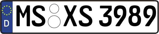 MS-XS3989