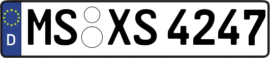 MS-XS4247