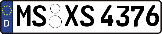 MS-XS4376
