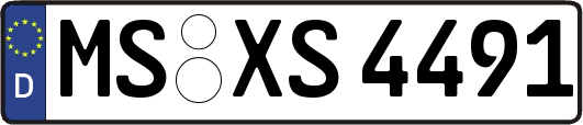 MS-XS4491