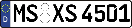 MS-XS4501