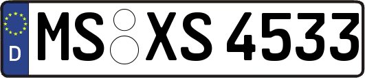 MS-XS4533