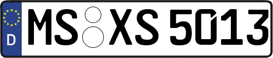 MS-XS5013