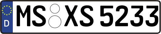 MS-XS5233