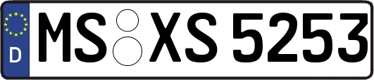 MS-XS5253