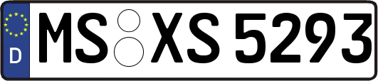 MS-XS5293