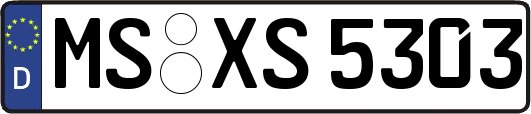 MS-XS5303
