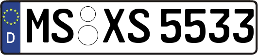 MS-XS5533