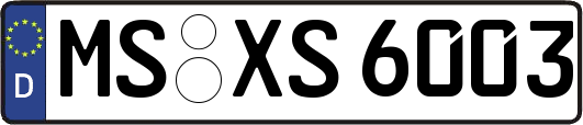 MS-XS6003