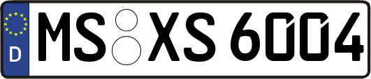 MS-XS6004