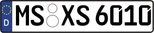 MS-XS6010