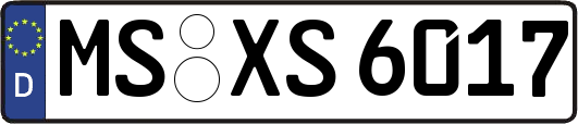 MS-XS6017