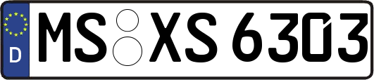 MS-XS6303