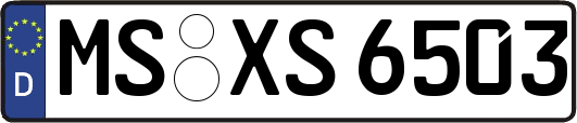 MS-XS6503