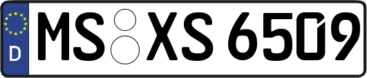 MS-XS6509