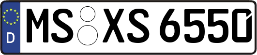 MS-XS6550