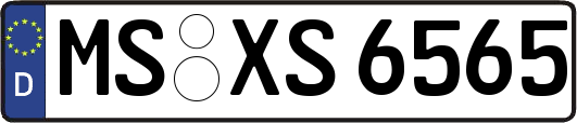 MS-XS6565