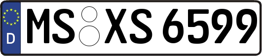 MS-XS6599