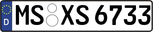 MS-XS6733