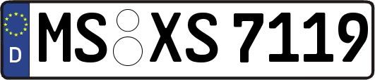 MS-XS7119