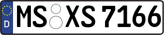MS-XS7166