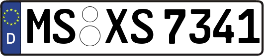 MS-XS7341