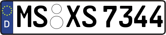 MS-XS7344