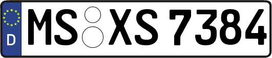 MS-XS7384