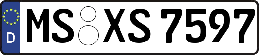 MS-XS7597