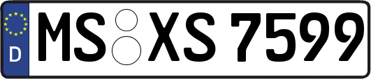 MS-XS7599