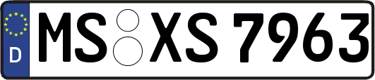 MS-XS7963