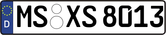 MS-XS8013