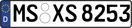 MS-XS8253