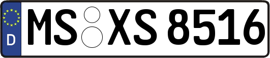 MS-XS8516