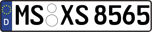 MS-XS8565