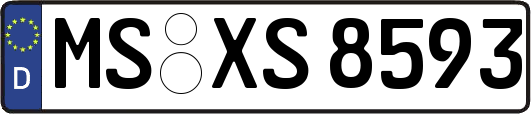 MS-XS8593