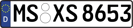 MS-XS8653