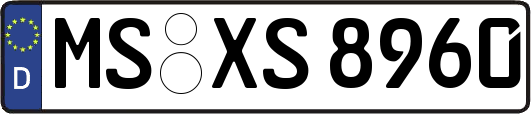 MS-XS8960