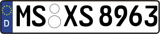 MS-XS8963